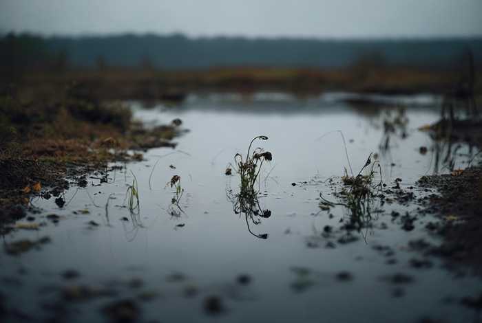 生活没有了期待就犹如一潭死水，生活没有了期待就犹如一潭死水的说说