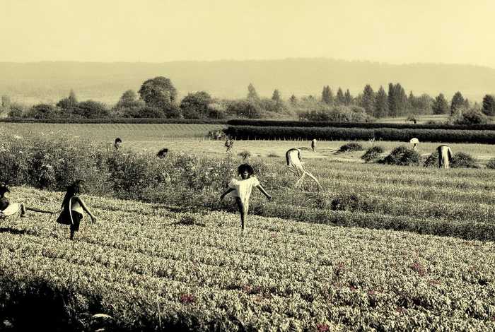 生活和日子有什么区别，生活和日子有什么区别英语