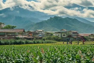 气候对生产生活的影响英语作文 气候对生产生活的影响英语作文高中