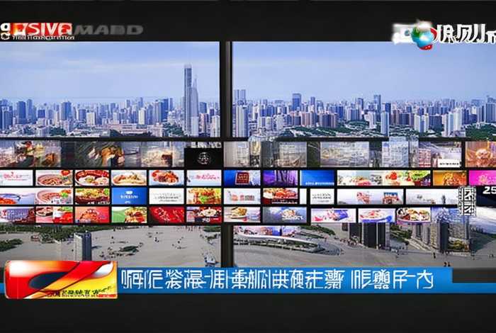 石家庄电视台生活频道直播在线观看 - 石家庄电视台生活频道直播在线观看节目