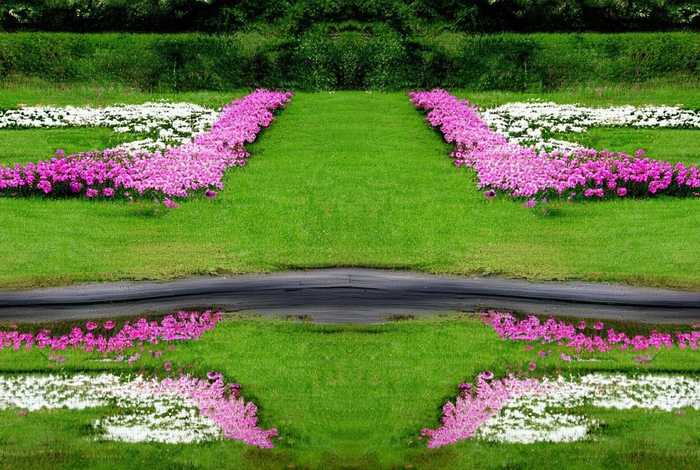 生活中对称的东西是什么（生活中对称的东西是什么意思）