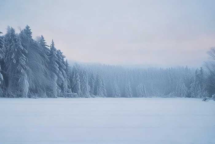 生活在漠河vlog、生活在漠河痛苦吗