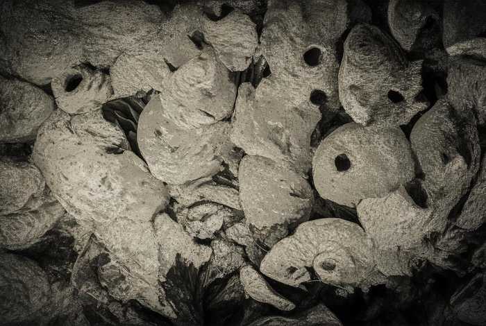 生活因梦想而精彩作文200字 生活因梦想而精彩作文200字开头