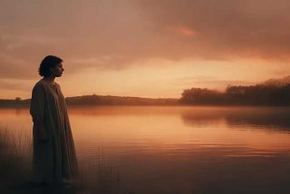 生活中的悲剧与情怀作文800字；生活中的悲剧与情怀作文800字怎么写