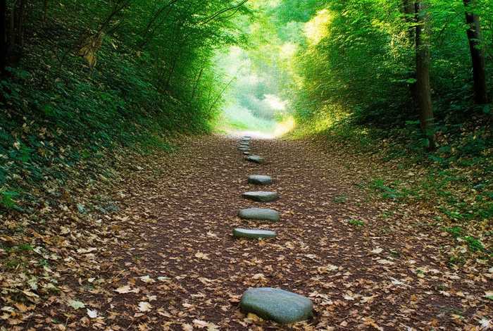 生活的足迹句子简短（生活的足迹句子简短一点）