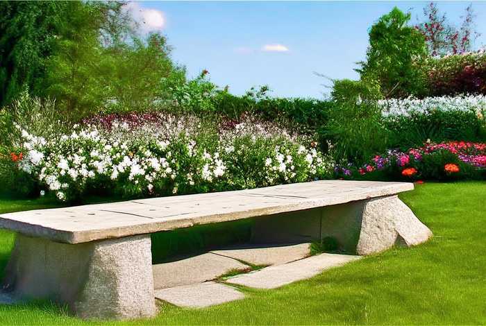 生活的艺术英文读后感 生活的艺术英文读后感50字