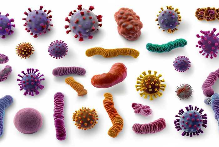 生活中常见的细菌和病毒图片(生活中常见的细菌和病毒图片大全) 生活中常见的细菌和病毒图片(生活中常见的细菌和病毒图片大全)