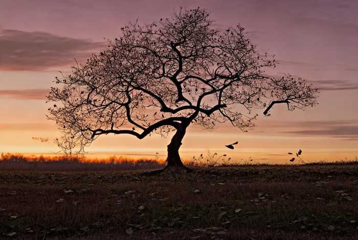 失败是生活的常态作文；失败是生活的常态作文素材