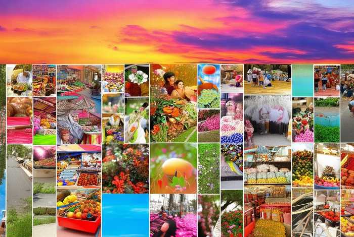 生活是丰富多彩的作文喜出望外；以生活是丰富多彩的为话题的作文600字