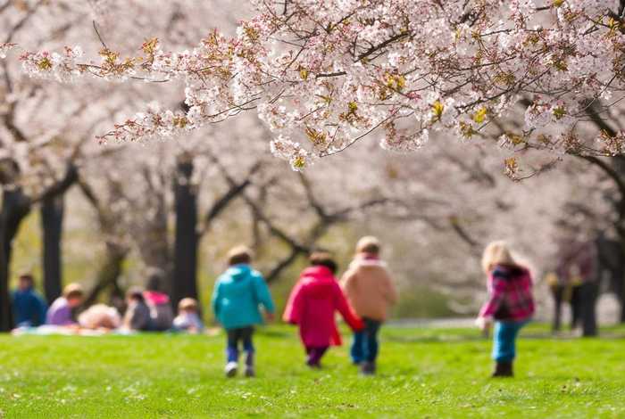 生活中的春天的作文，生活中的春天的作文怎么写