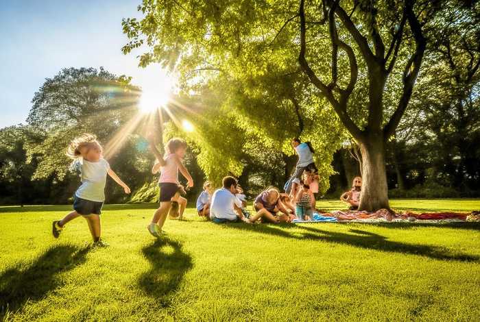 生活处处有阳光作文开头，生活处处有阳光作文开头优美句子