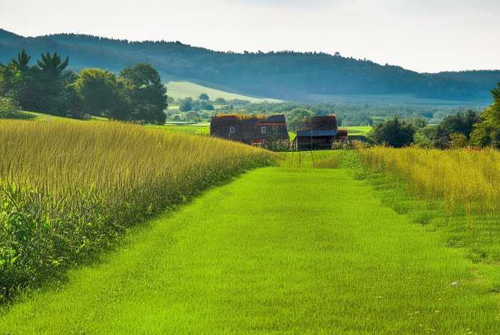 农村生活污水都是怎么处理的；农村生活污水都是怎么处理的呢