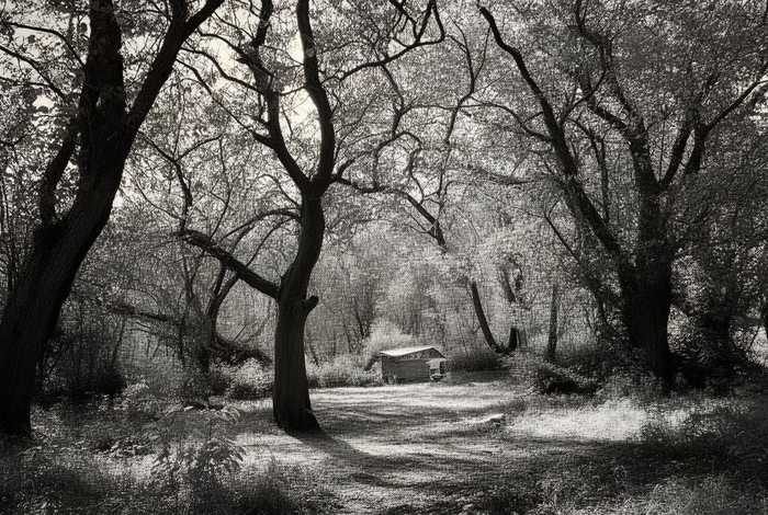 生活的恩赐不会是繁花似锦 生活的恩赐不会是繁花似锦的