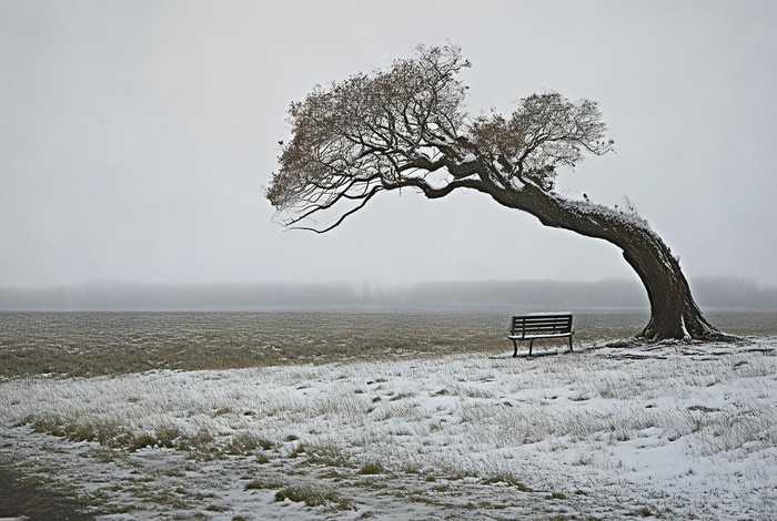 生活中无奈语录（生活中无奈语录图片）