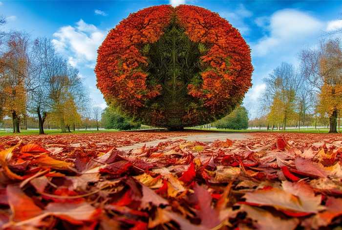 生活中的形式美和内容美、生活中内容与形式的例子