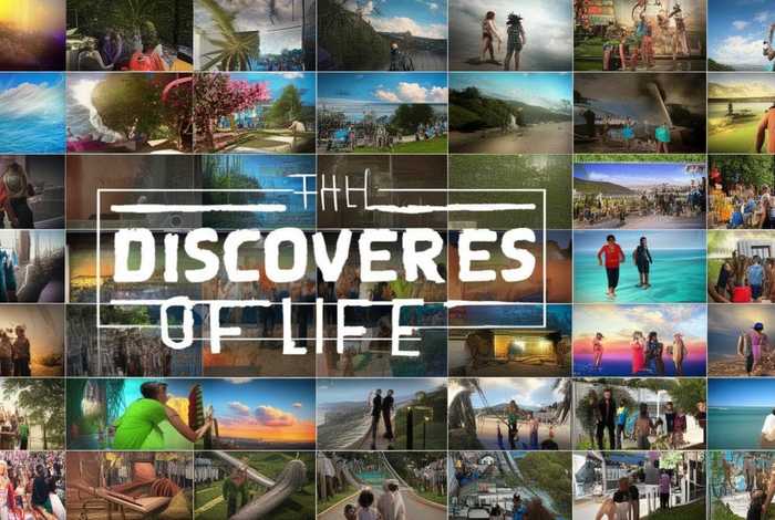 生活的发现综艺全集、生活的发现综艺全集在线观看