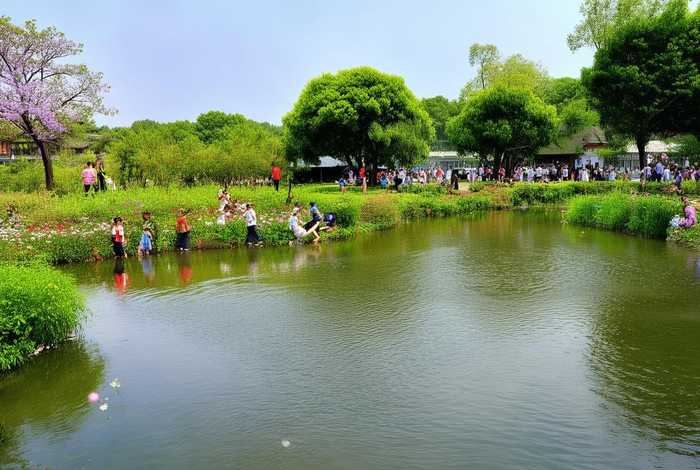 平湖生态园 - 平湖生态园游玩攻略