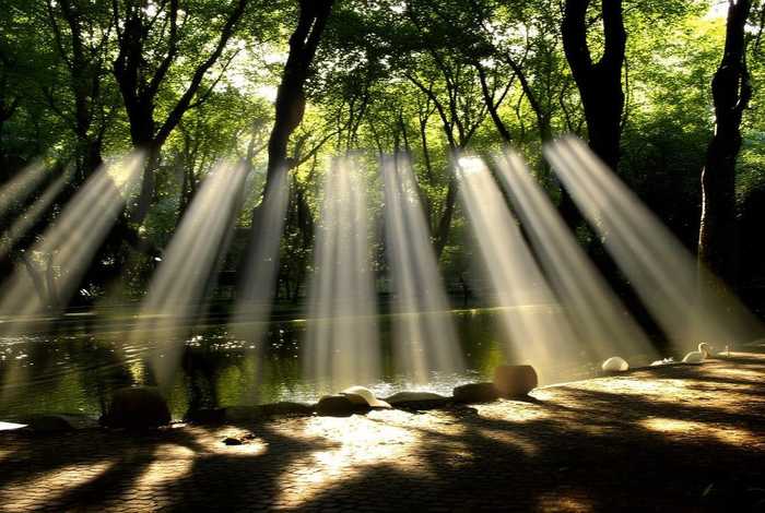 生活中的射线（生活中的射线例子10个）