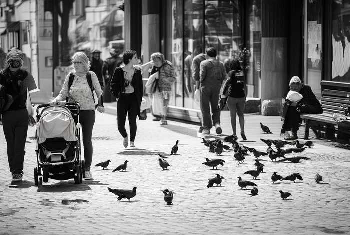 生活包涵哪些内容 - 生活包涵哪些内容呢 生活包涵哪些内容 - 生活包涵哪些内容呢