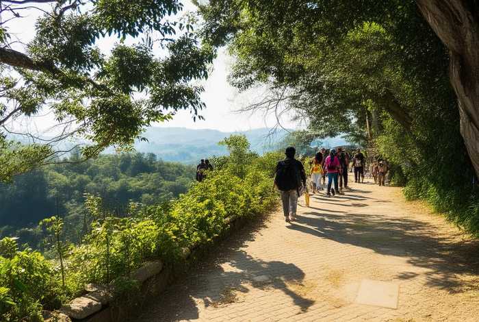 平湖生态园到甘坑小镇徒步，平湖生态园到甘坑小镇徒步要多久