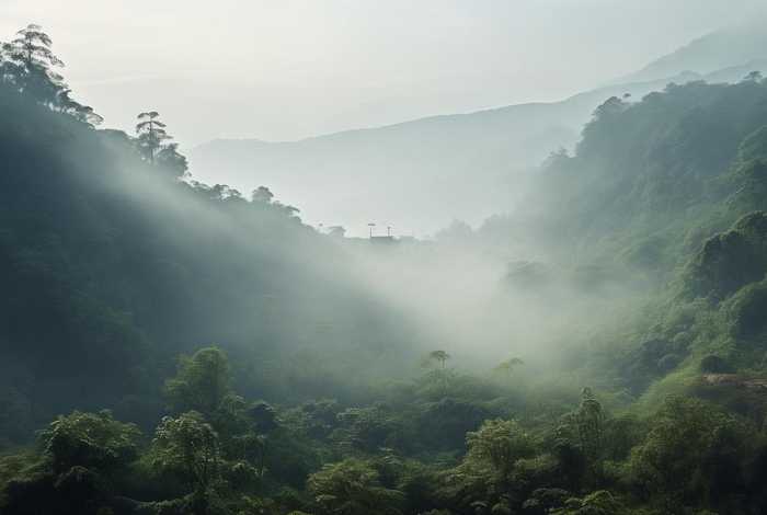 魔教教主的退休生活 天地会 - 魔教教主退休后的生活起点