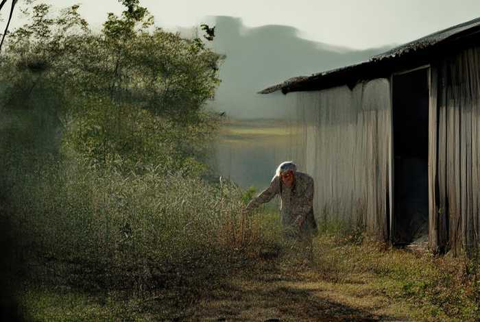 生活平淡是什么意思、生活平淡是什么意思是什么