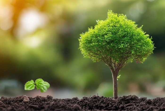 生命和生活的英文;生命和生活的英文区别 生命和生活的英文;生命和生活的英文区别