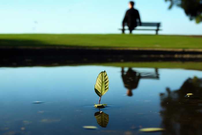 生活的简句；生活的简短句子