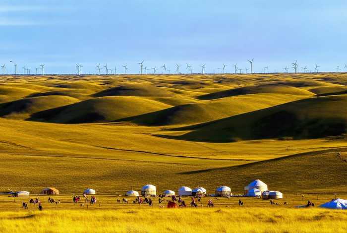 内蒙古经济生活频道官网（内蒙古经济生活频道官网入口）
