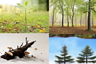 生活周期名词解释生态学、生活周期名词解释生态学概念