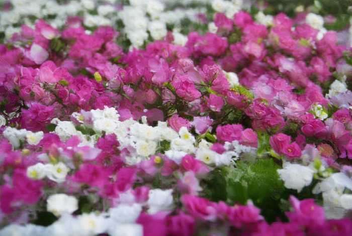 生活中遇到的一些问题（生活中遇到的一些问题怎么解决）