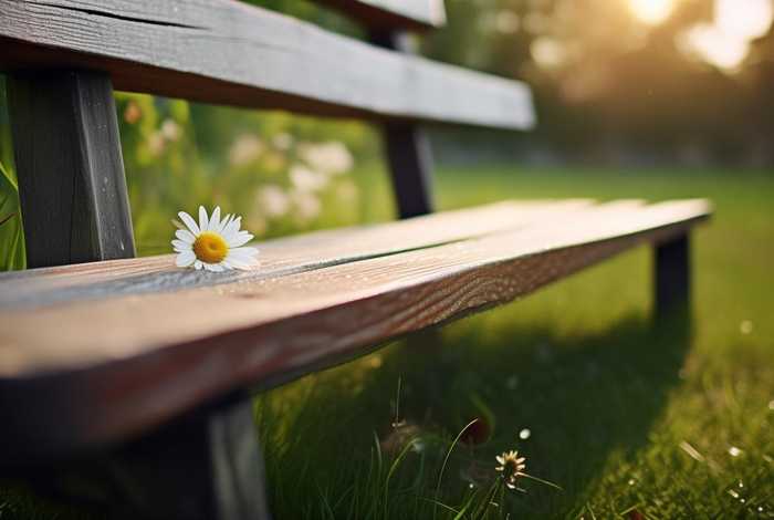 生活中普通又美的事物(生活中极普通的美) 生活中普通又美的事物(生活中极普通的美)