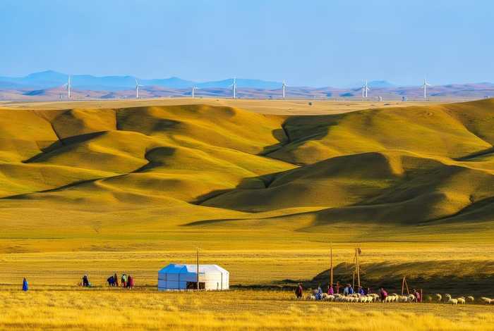 内蒙古经济生活频道官网（内蒙古经济生活频道官网入口）