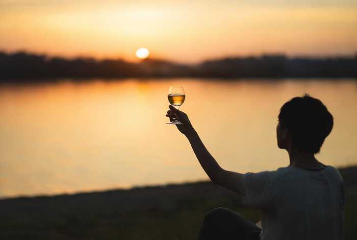 且将生活一饮而尽txt下载 - 且将生活一饮而尽读后感50字