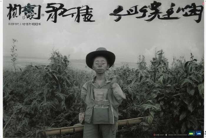 什么的田野上 - 什么的田野上生长着什么的水稻