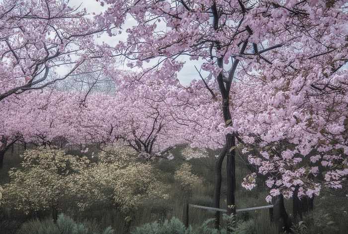 厦门生活节奏快还是慢、厦门生活节奏慢在哪里