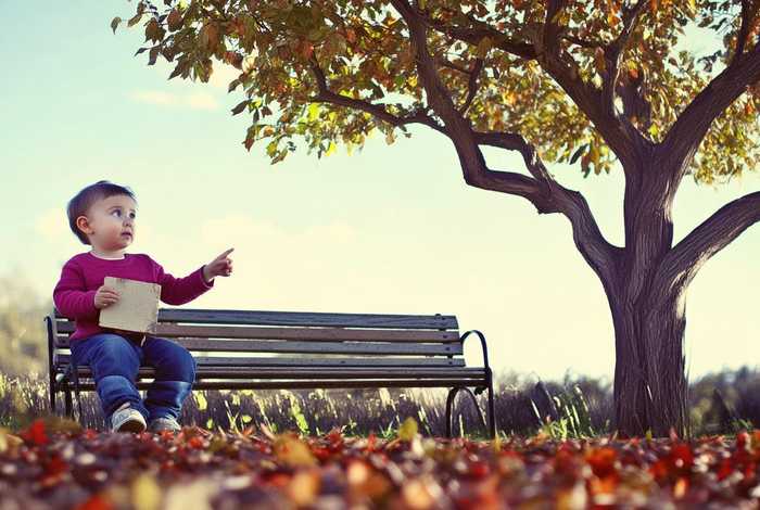 生活得到的启示作文400字（生活得到的启示作文400字四年级）