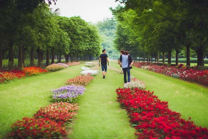 生活和爱情是两回事,生活和爱情是两回事英语 生活和爱情是两回事,生活和爱情是两回事英语
