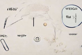 生活中有哪些东西是1克 生活中有哪些东西是1克的