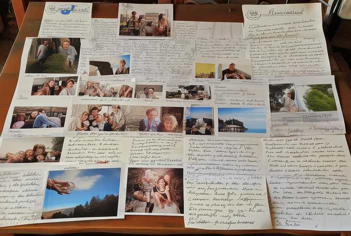 女婿的生活记录、女婿的生活记录怎么写