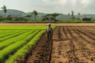 气候对生产的影响举例，举例气候对生产和生活的影响