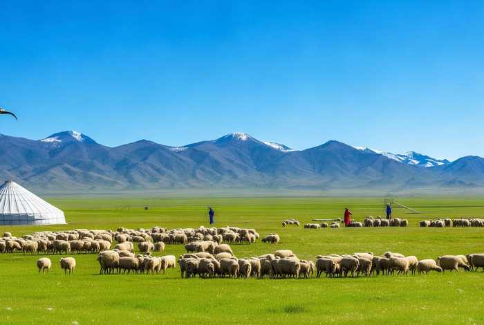 蒙古族生活环境视频、蒙古族生活环境图片