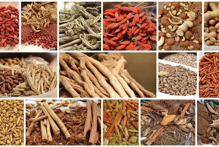 生活中常见的中药药材有哪些 - 生活中常见的中药药材有哪些图片