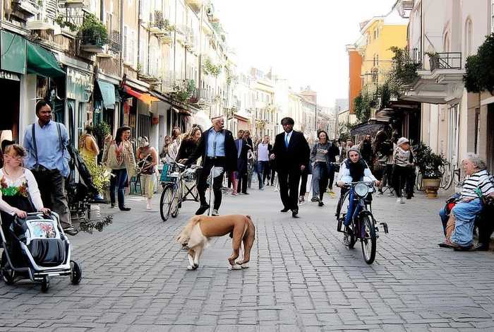 生活活动名词解释大全、生活活动名词解释大全图片
