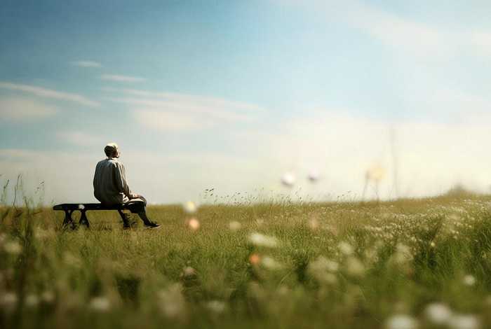 平平淡淡才是真 - 平平淡淡才是真,再回首恍然如梦