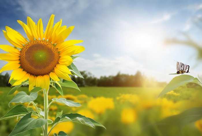 生活中的转化思想有哪些 - 生活中的转化思想有哪些方面