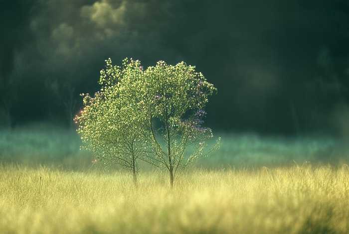 普通而不平凡的唯美句子 - 普通而不平凡的唯美句子意义非凡的同义词 普通而不平凡的唯美句子 - 普通而不平凡的唯美句子意义非凡的同义词