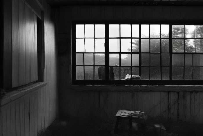 每天重复着一样的生活的成语；每天重复着一样的生活的成语有哪些