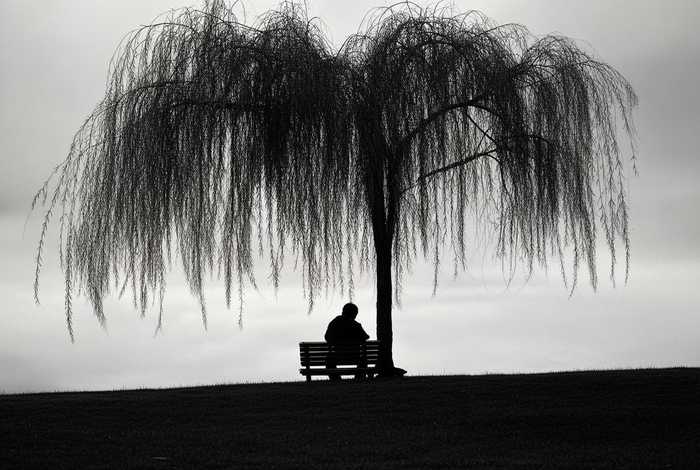 生活的忧愁的照片（生活的忧愁的照片大全）