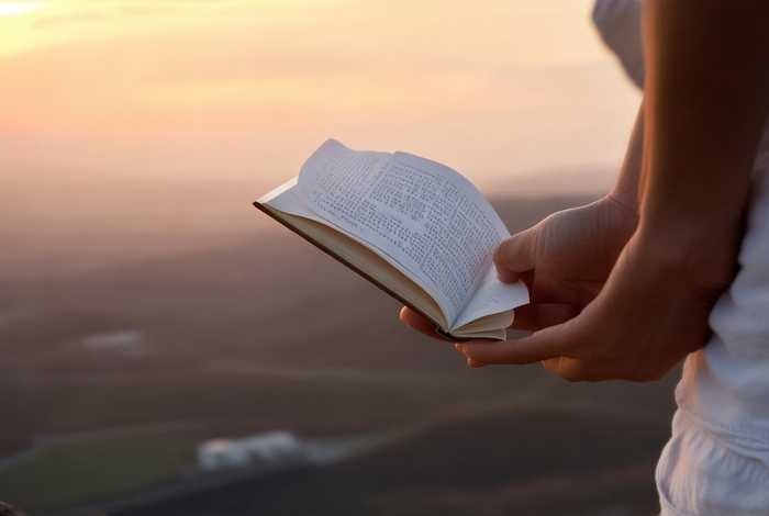 生活的启示作文500字加提纲（生活的启示作文500字加提纲怎么写）